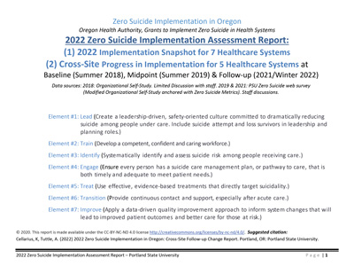 2022 Zero Suicide Implementation Assessment Report