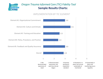 Trauma Informed Care Implementation Assessment Sample Report Pages